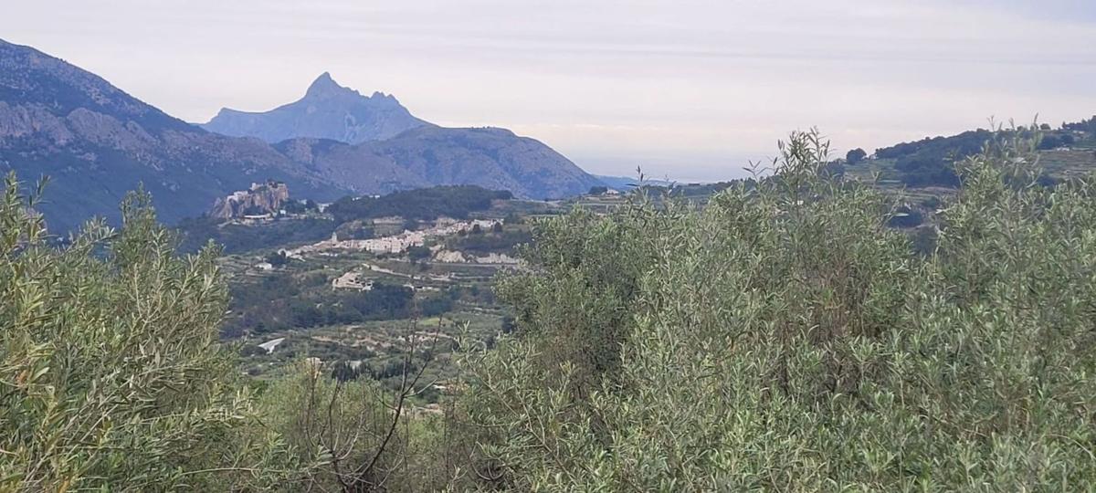 Land for sale in Benifato, Alicante photo 2
