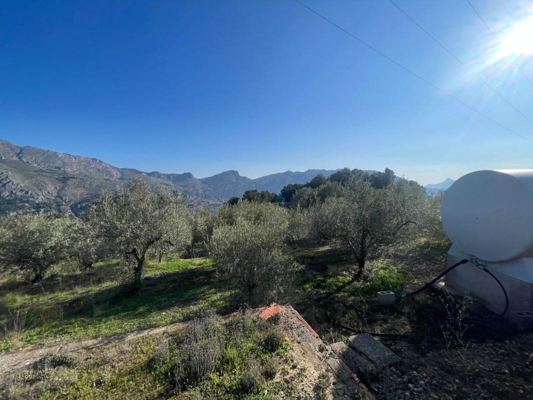 Land for sale in Benifato, Alicante photo 5