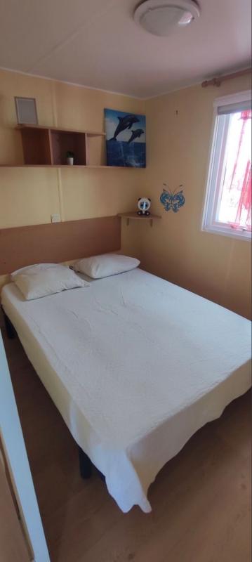 Działka na sprzedaż w Elche / Elx, Alicante photo 4