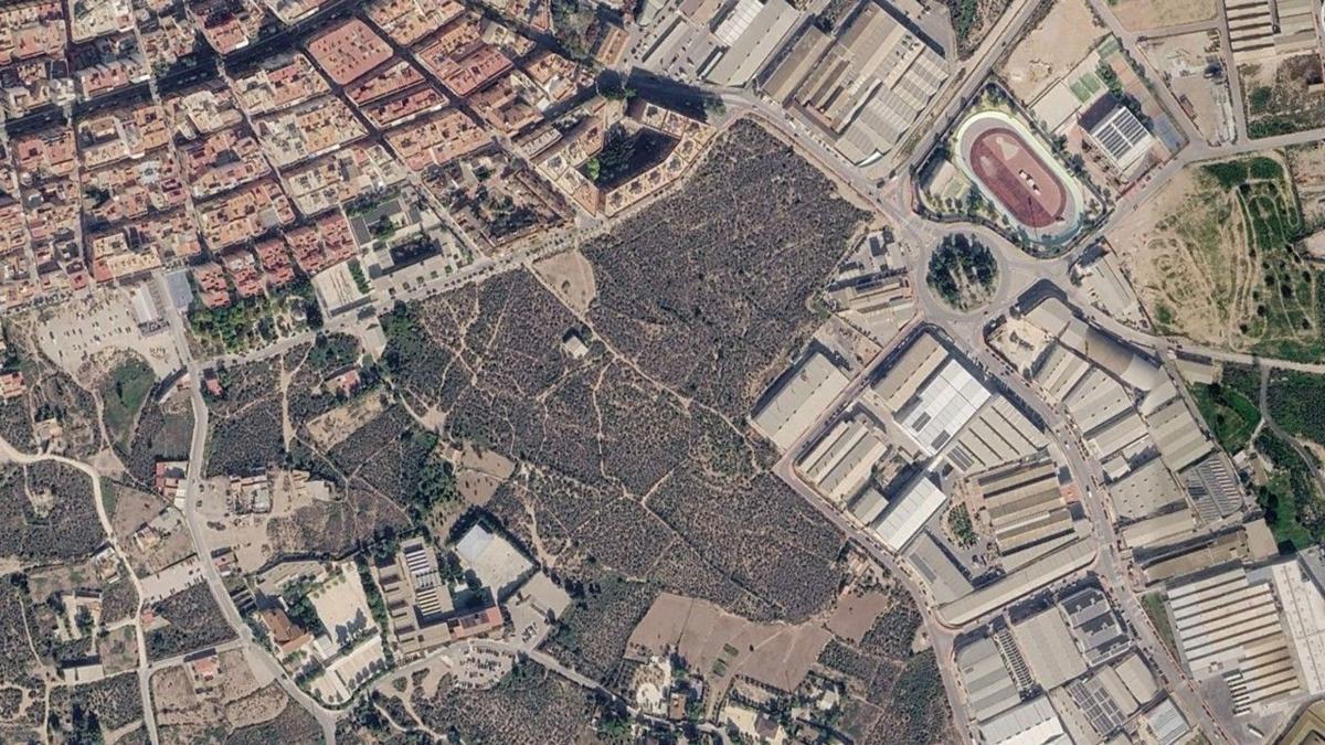 Land for sale in Crevillente, Alicante photo 3