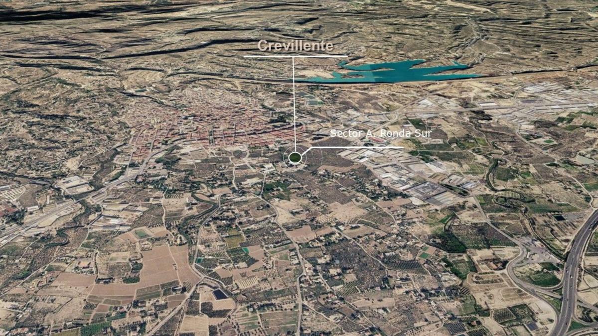 Land for sale in Crevillente, Alicante photo 4