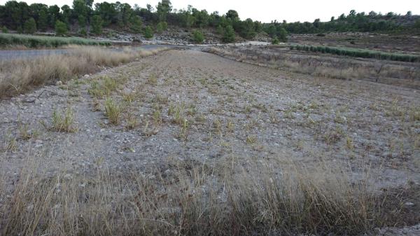 Terreno en Partida Caballusa, 22, Pinoso photo 1