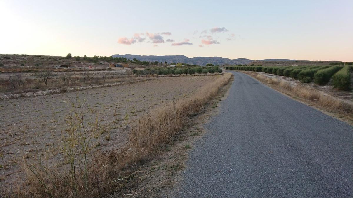Działka na sprzedaż w Pinoso, Alicante photo 4