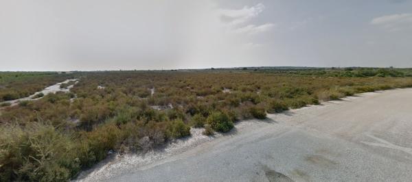 Terreno en Polígono 38 Parcela 108, La Marina, Elche / Elx photo 3