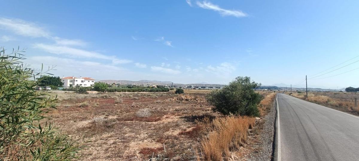 Land for sale in Elche / Elx, Alicante photo 1