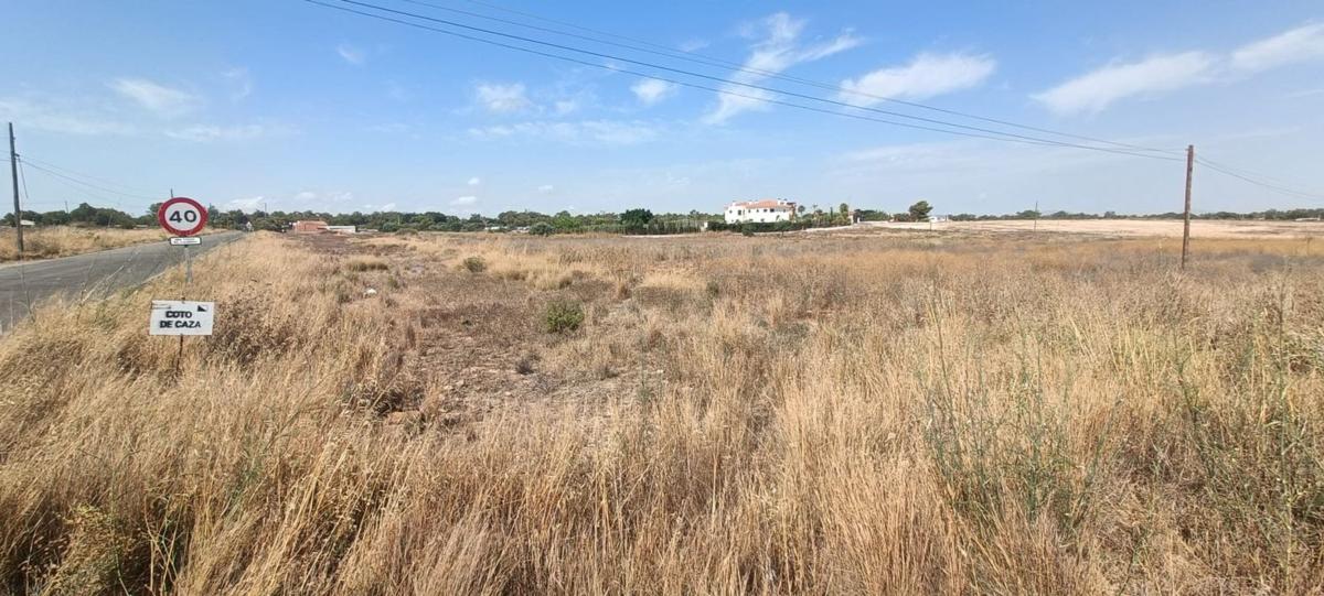 Land for sale in Elche / Elx, Alicante photo 2