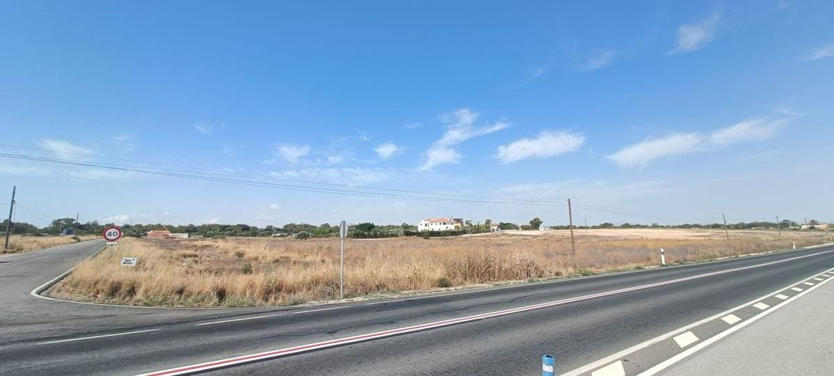 Land for sale in Elche / Elx, Alicante photo 3