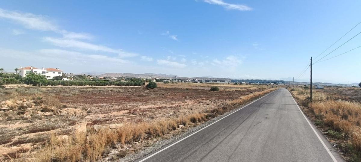 Land for sale in Elche / Elx, Alicante photo 4