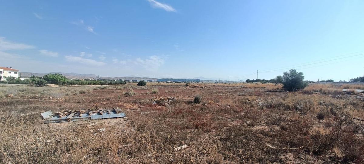 Land for sale in Elche / Elx, Alicante photo 5