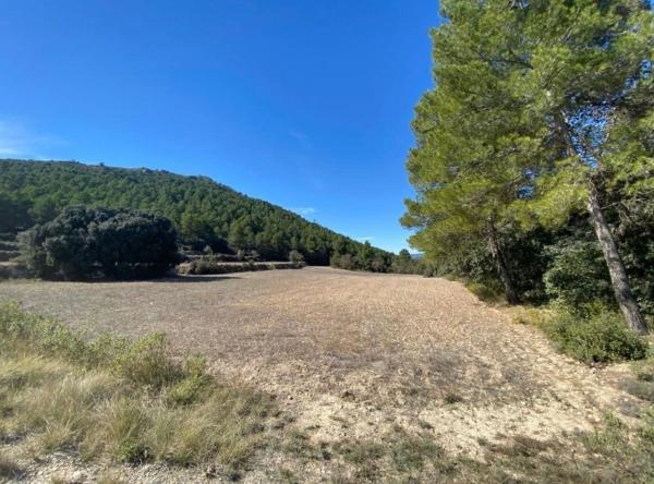 Terreno en N-340, 5, Muro del Alcoy photo 1