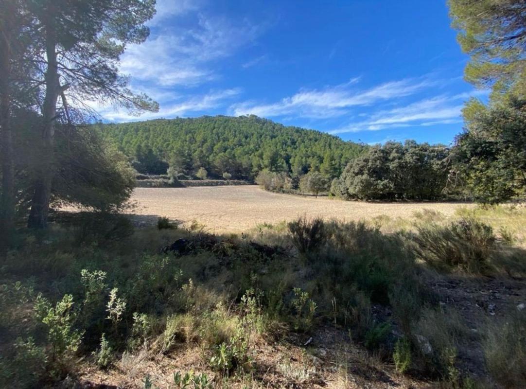 Terreno en venta en Muro del Alcoy, Alicante photo 2