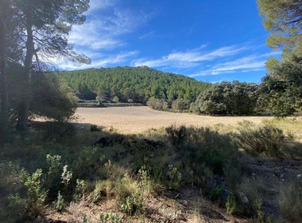 Terreno en N-340, 5, Muro del Alcoy photo 2
