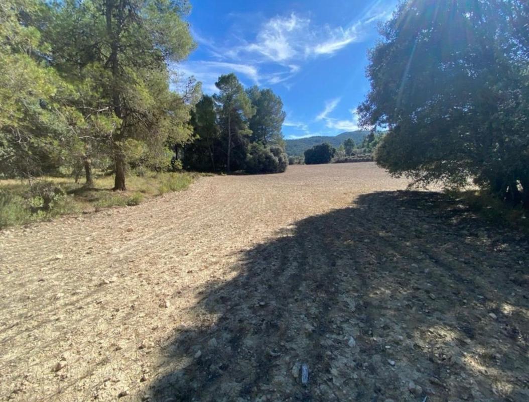 Terreno en venta en Muro del Alcoy, Alicante photo 3