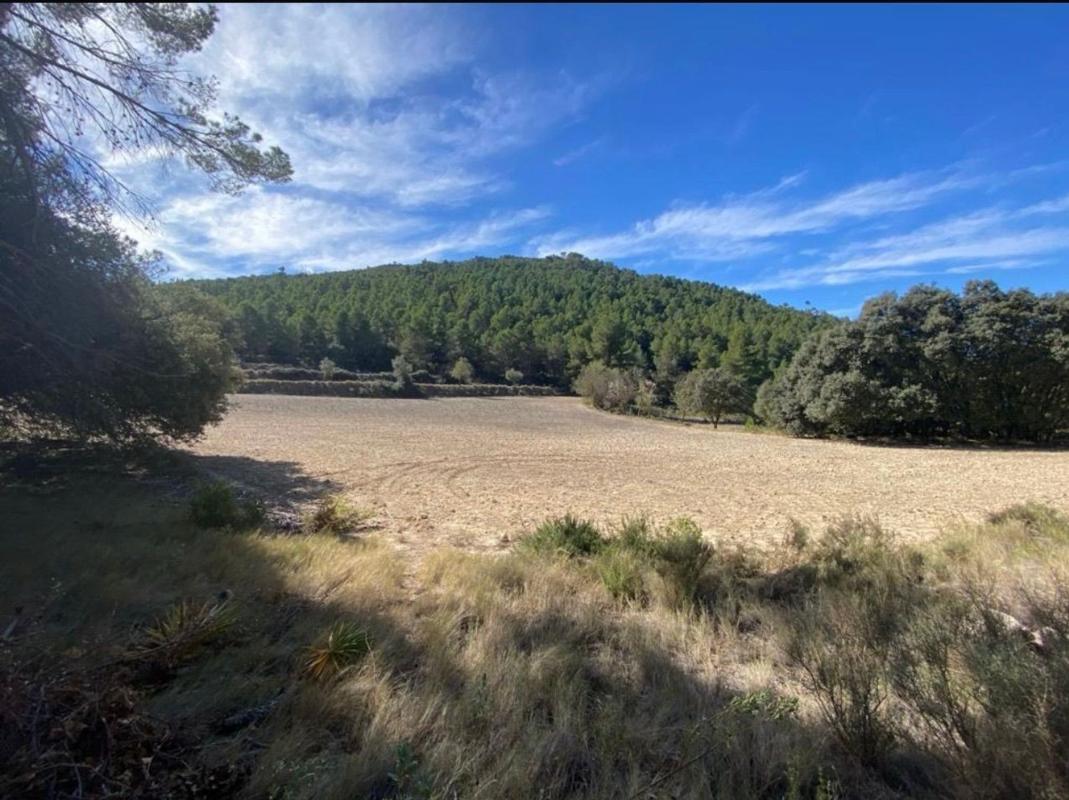 Terreno en venta en Muro del Alcoy, Alicante photo 4