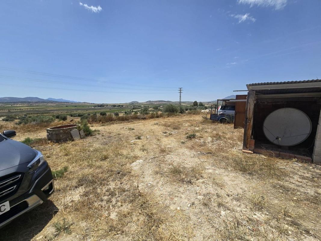Sprzedaż niezależnego domku jednorodzinnego w Casa o chalet en Pinoso, Pinoso photo 4
