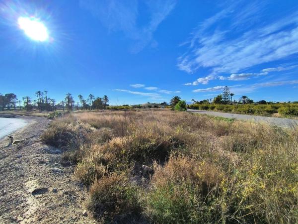 Terreno en Las Bayas-Asprillas, Elche / Elx photo 2
