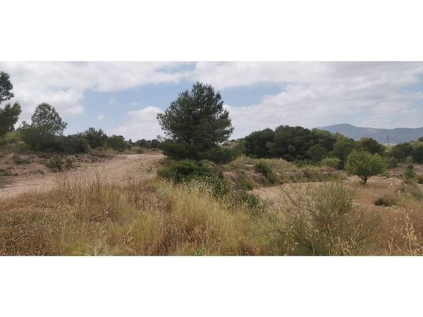 Terreno en Poligono 7 Paraje 94 Umbria, Hondón de las Nieves photo 1