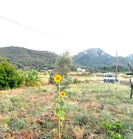 Terreno en Camino CamÍ Fonteta del Pinsá, 1, Jalón photo 1