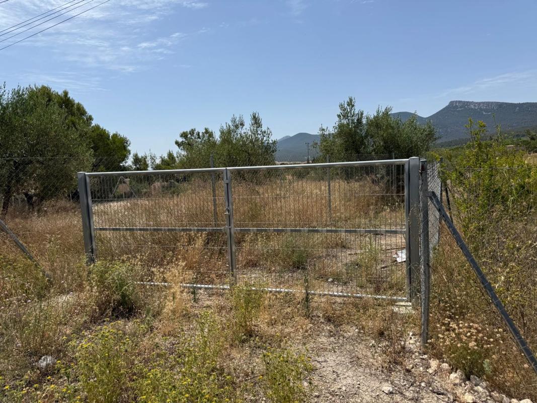 Działka na sprzedaż w Castalla, Alicante photo 1