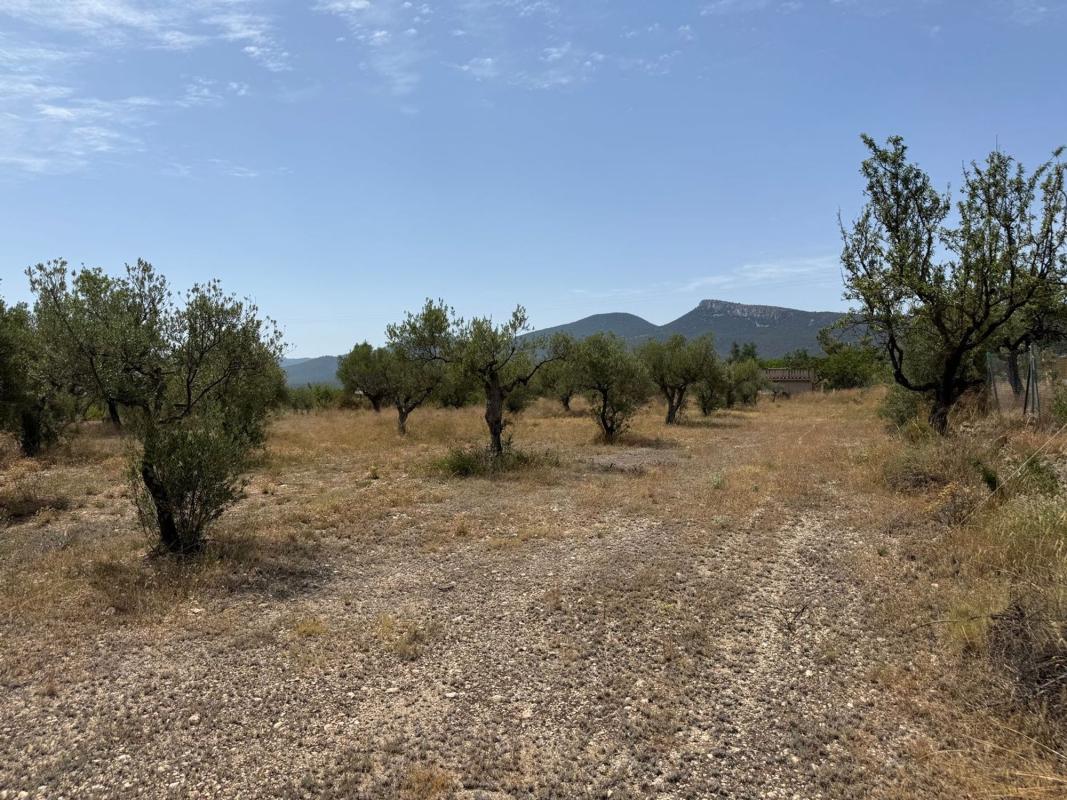 Działka na sprzedaż w Castalla, Alicante photo 3