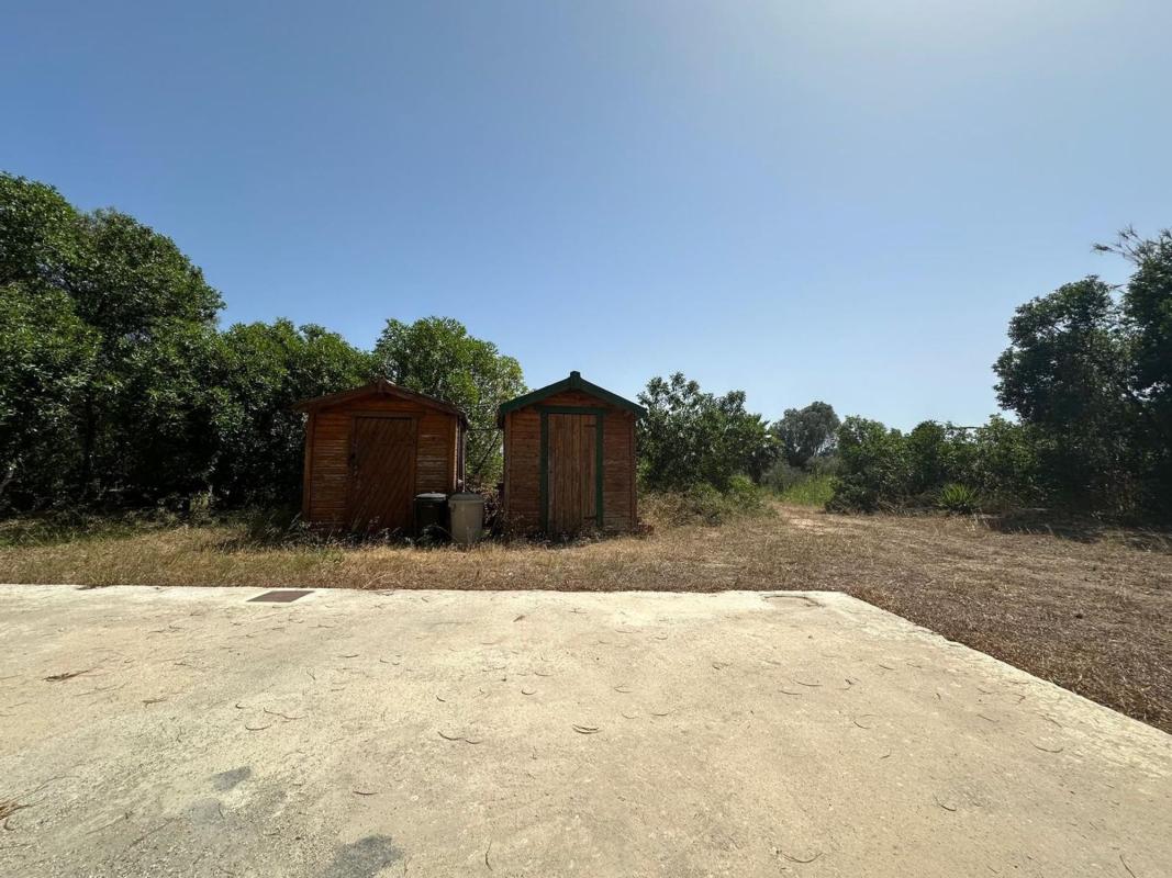 Terreno en venta en Guardamar del Segura, Alicante photo 2