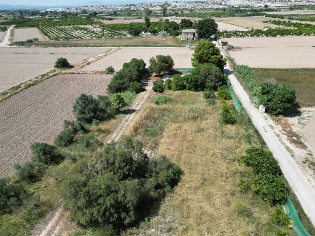 Terreno en venta en Guardamar del Segura, Alicante photo 4
