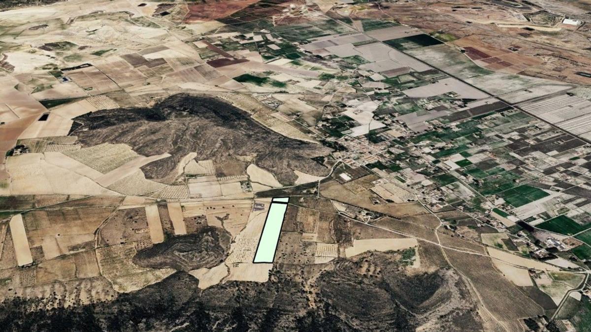 Land for sale in Villena, Alicante photo 1