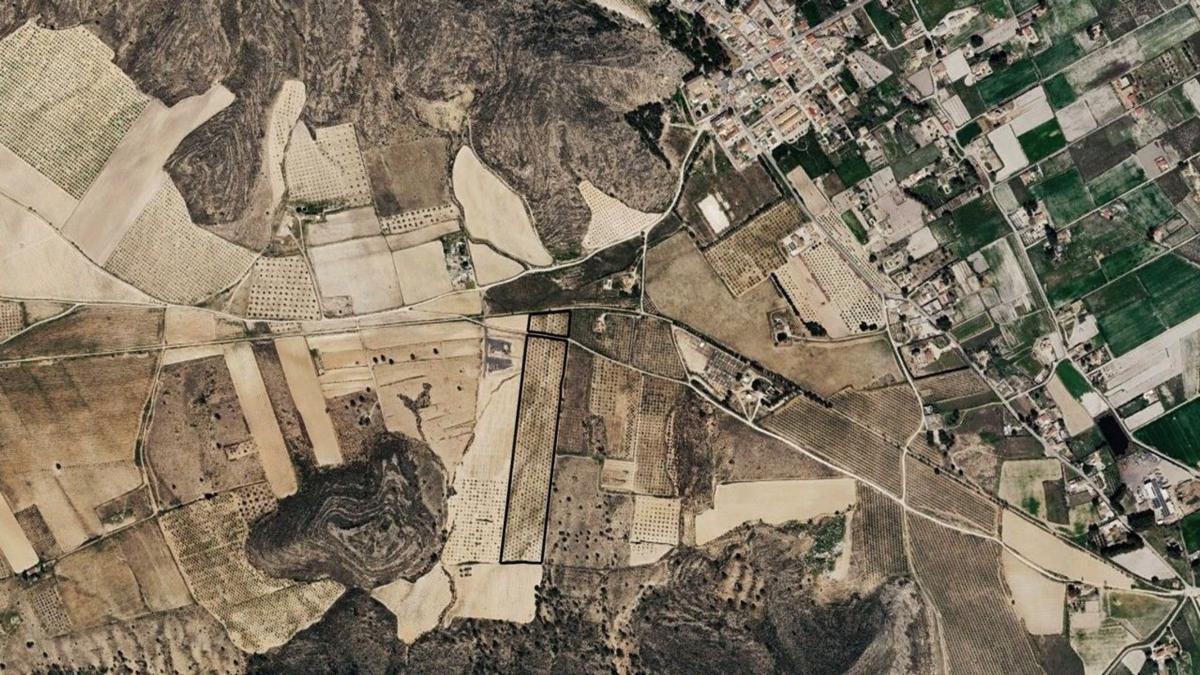 Land for sale in Villena, Alicante photo 3