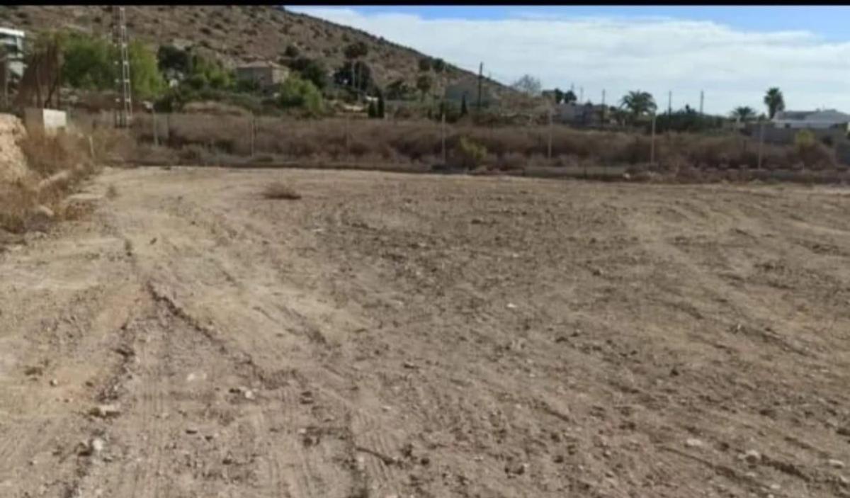 Land for sale in Elche / Elx, Alicante photo 4