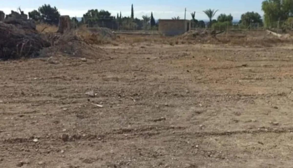 Land for sale in Elche / Elx, Alicante photo 5
