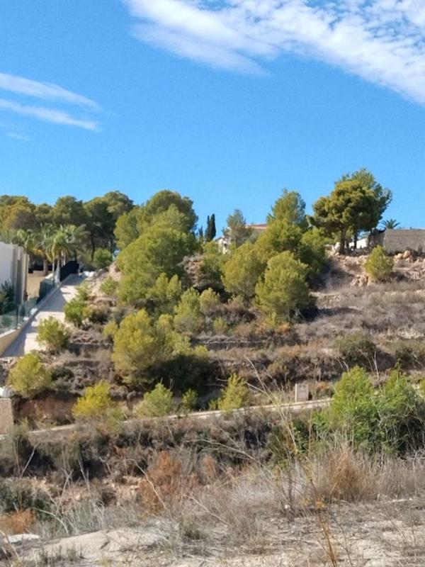Land for sale in Benissa, Alicante photo 2