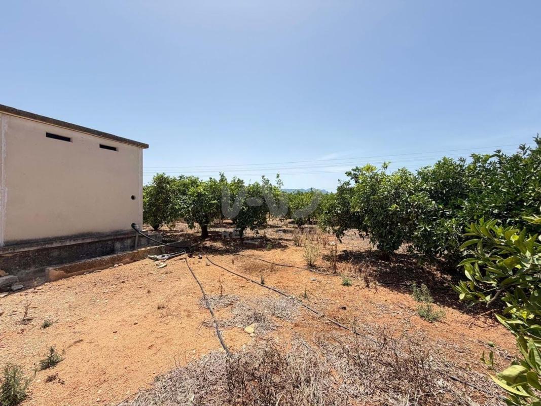 Land for sale in Ondara, Alicante photo 2