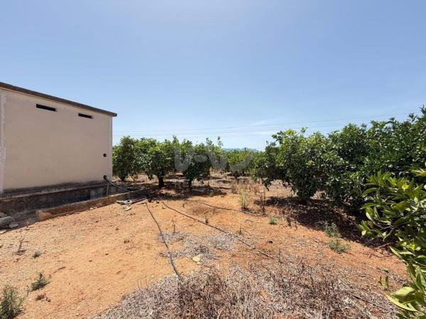 Terreno en Ondara photo 2
