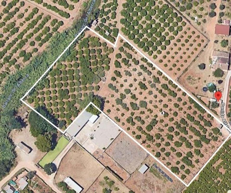 Land for sale in Ondara, Alicante photo 3