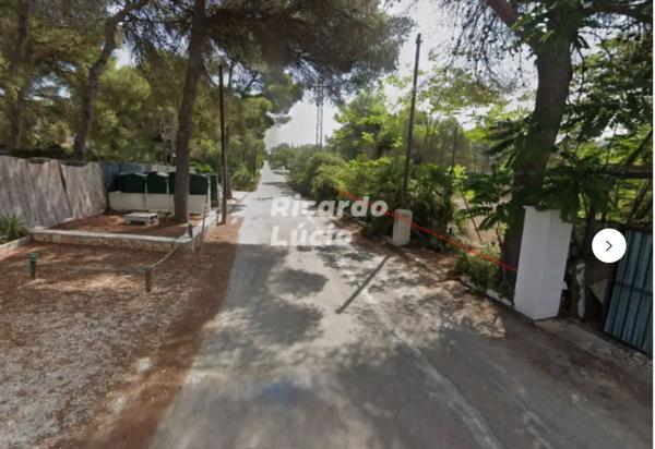 Terreno en Carretera de la Guardia s/n, El Tosalet - Cap Marti, Jávea/Xàbia photo 4