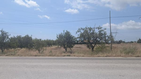 Terreno en Partida Maitino, Maitino-Perleta, Elche / Elx photo 2