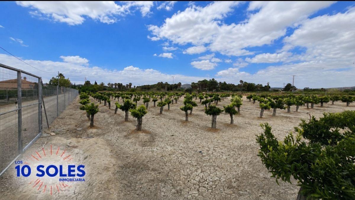 Land for sale in Jacarilla, Alicante photo 1