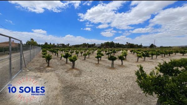 Terreno en Jacarilla photo 1