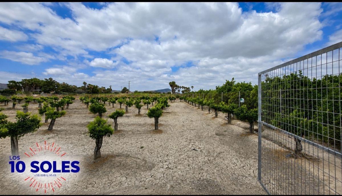 Land for sale in Jacarilla, Alicante photo 2