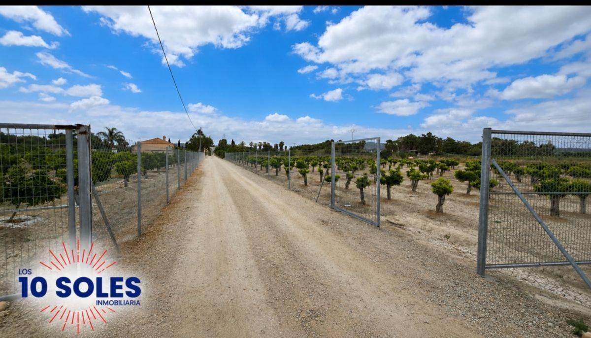 Land for sale in Jacarilla, Alicante photo 3