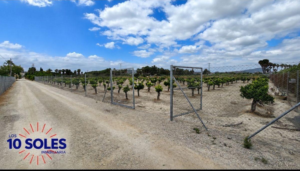 Land for sale in Jacarilla, Alicante photo 4
