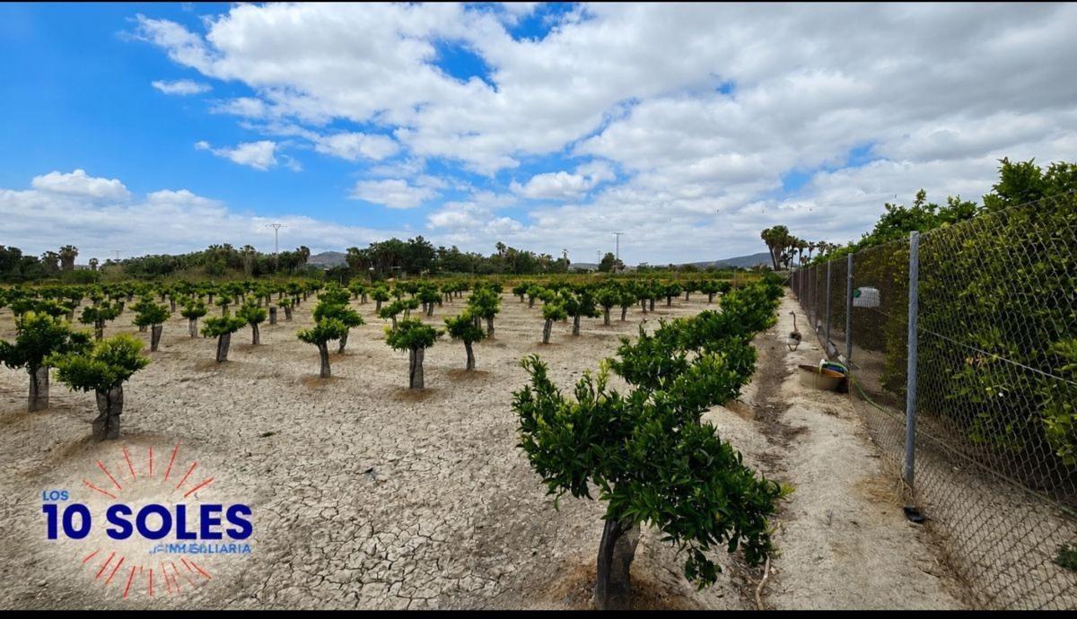 Land for sale in Jacarilla, Alicante photo 5