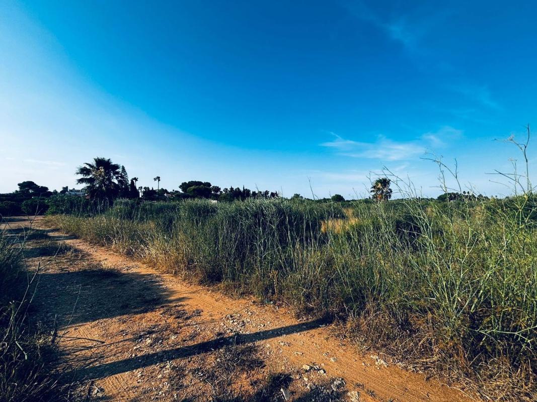 Land for sale in Denia, Alicante photo 1