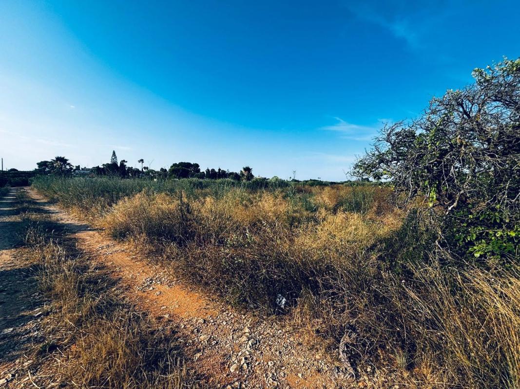 Land for sale in Denia, Alicante photo 4