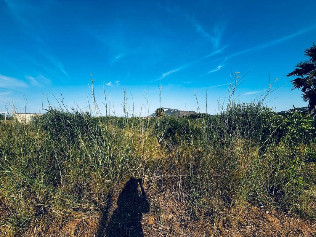 Land for sale in Denia, Alicante photo 5