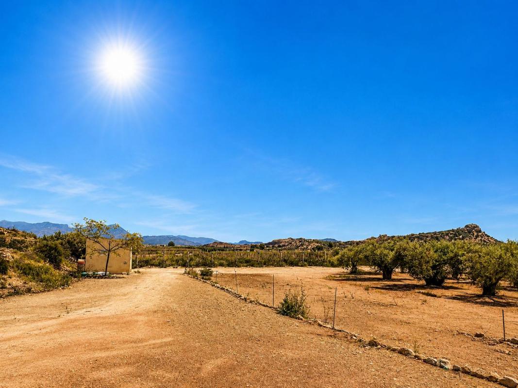 Land for sale in August, Alicante photo 1