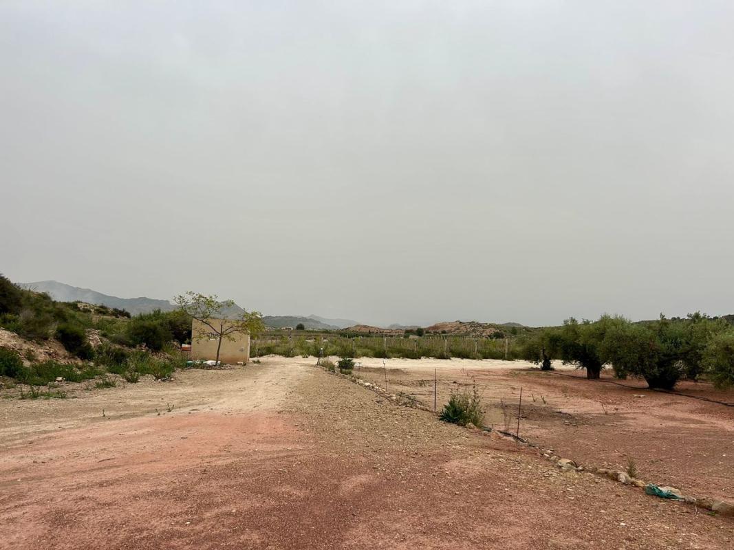 Land for sale in August, Alicante photo 3