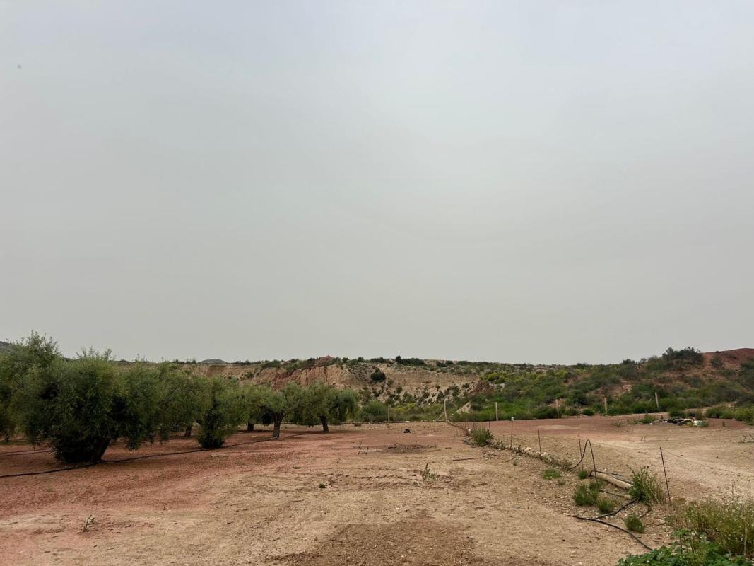Land for sale in August, Alicante photo 5