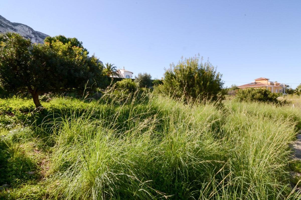Działka na sprzedaż w Dénia, Alicante photo 4