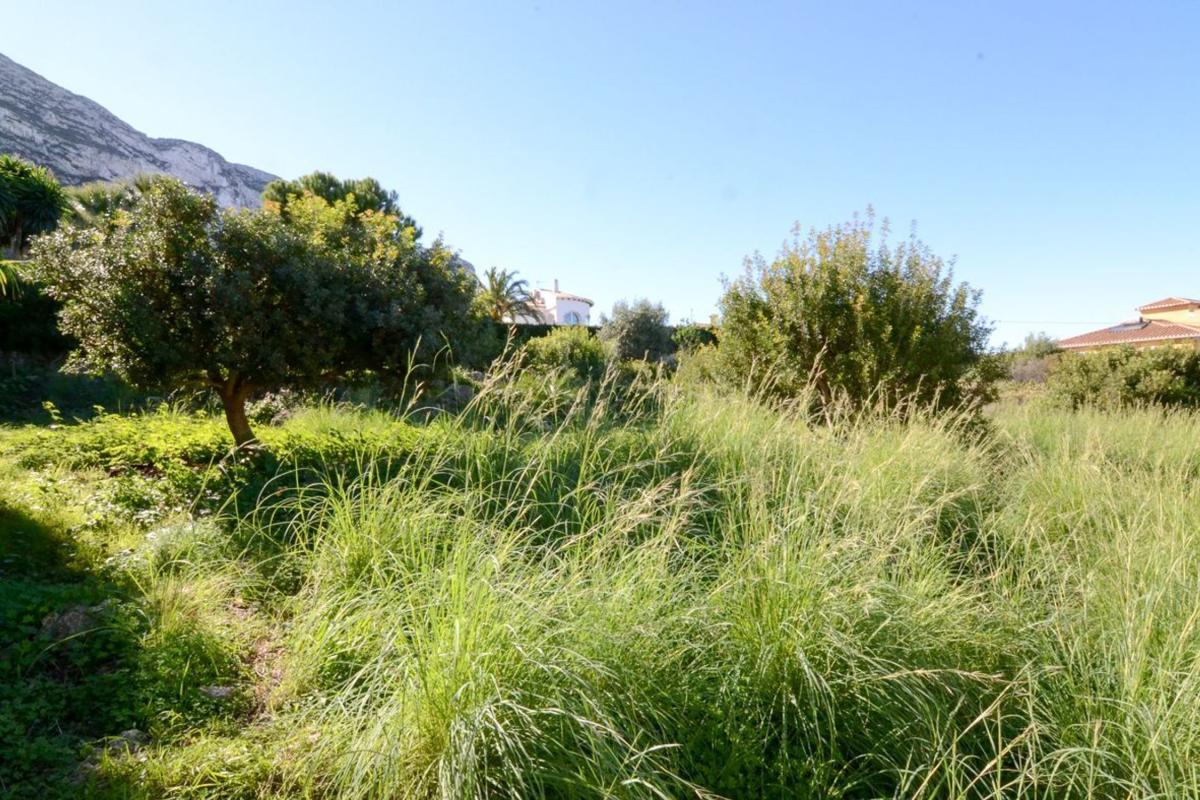 Działka na sprzedaż w Dénia, Alicante photo 5